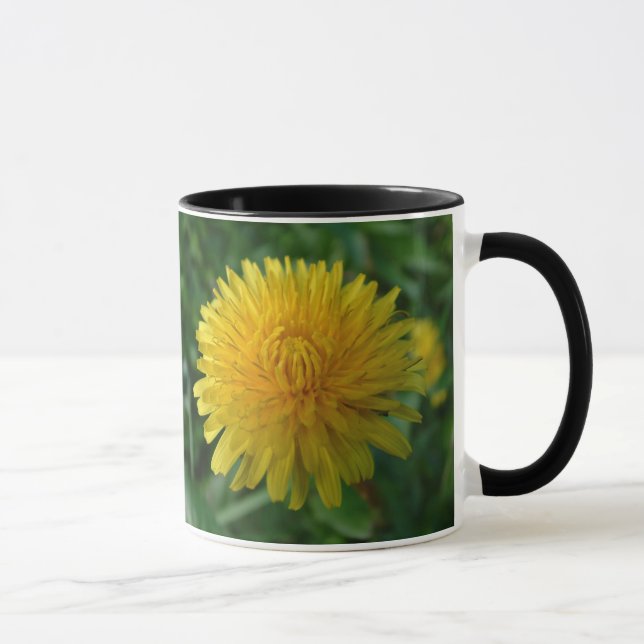 Les pissenlits sont belle trop tasse (Droite)