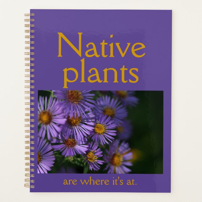 Les plantes indigènes sont où il faut être (Devant)