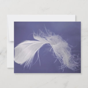 Les plumes sont des symboles de spiritualité
