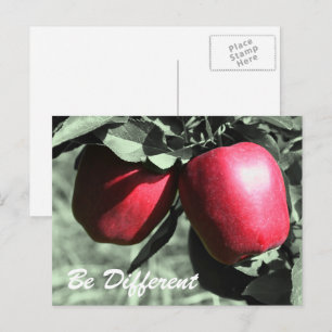 Les Pommes Rouges Soient Différentes Carte Postale