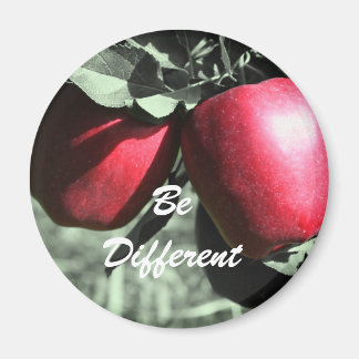 Les Pommes Rouges Soient Différents Aimants Motiva