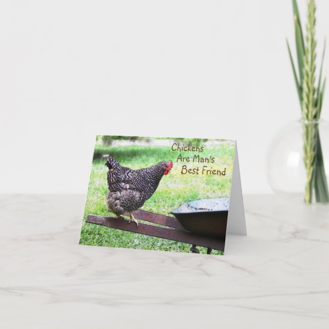 Les poulets sont la meilleure carte d'ami de l'hom (Devant)
