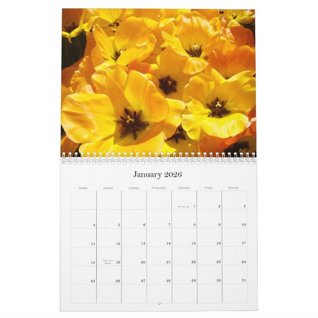 Les professeurs de cadeaux de calendrier sont les (Jan 2026)