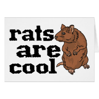 Les rats sont frais