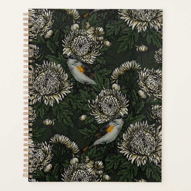 Les redémarrages dans les chrysanthèmes en vert et (Devant)