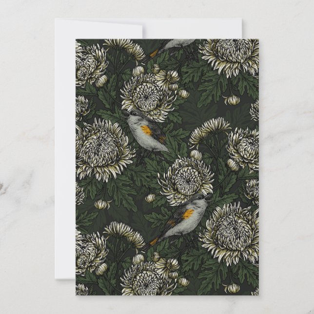 Les redémarrages dans les chrysanthèmes en vert et (Devant)