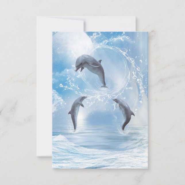 Les Rêves Des Dauphins (Devant)