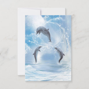 Les Rêves Des Dauphins