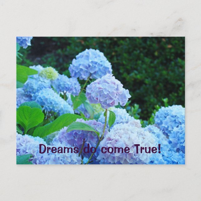 Les rêves deviennent réalité! cartes postales Blue (Devant)