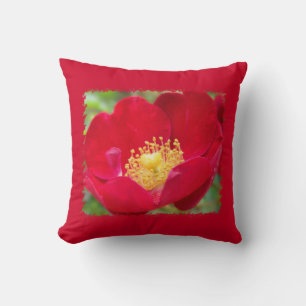 Les roses sont Coussins rouges