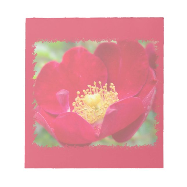 Les roses sont des Bloc-notes rouges (Devant)