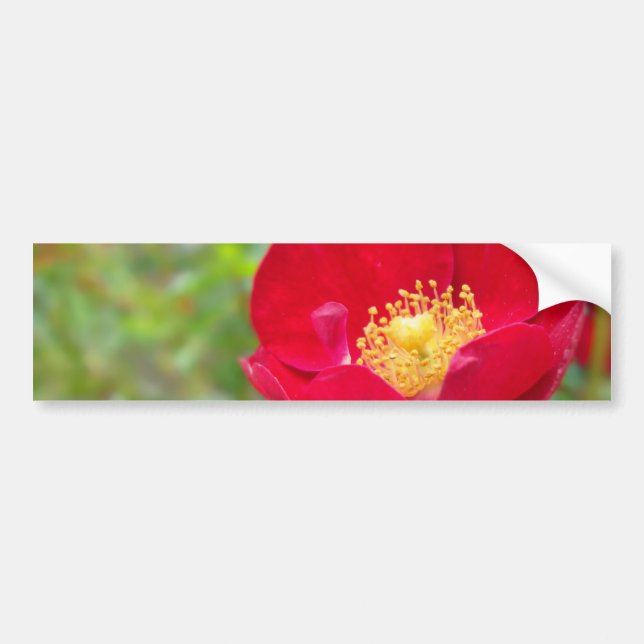 Les roses Sont Un Sticker Rouge Bumper (Devant)