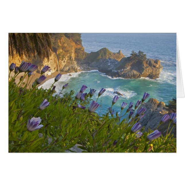 Les Scenic McWay Falls se jettent sur la plage et (Devant horizontal)