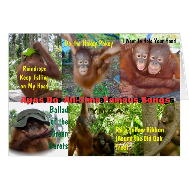 Les Singes Font Des Chansons Célèbres (Devant Horizontal)