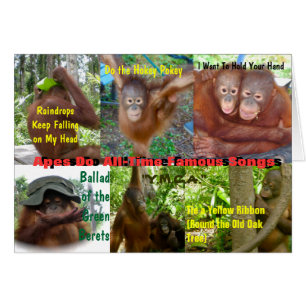 Les singes font des chansons célèbres sans