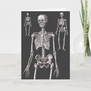 Les Skeletons sont hors du placard ! Carte de voeu