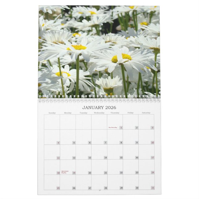 Les soeurs faites sur commande de calendriers sont (Jan 2026)