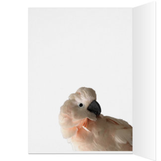 Les soins partagent la carte