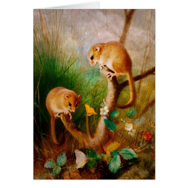 Les souris sont Nice (Devant)