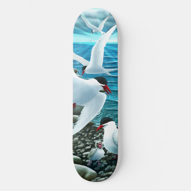 Les sternes arctiques font du skateboard (Recto)