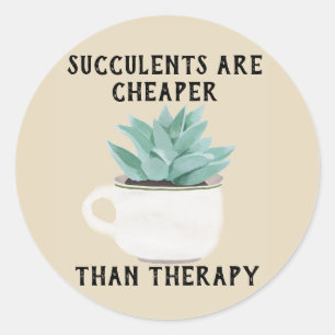 Les Succulents Sont Moins Chers Que Le Sticker Thé
