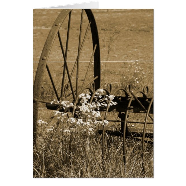 Les temps anciens (Devant)