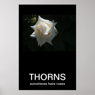 Les Thorns Ont Parfois Des Roses Poster Demotivati