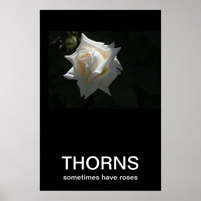 Les Thorns Ont Parfois Des Roses Poster Demotivati (Devant)