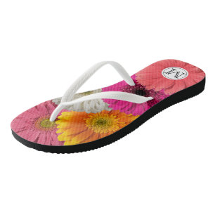 Les tongs de Gerbera Daisy