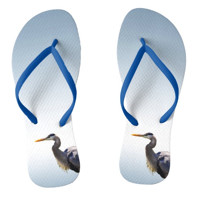 Les tongs des oiseaux du Grand Héron bleu (Semelle)