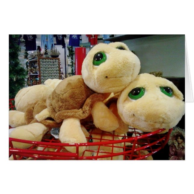 LES TORTUES ONT UNE VISION NUIT EXCEPTIONNELLE (MI (Devant horizontal)