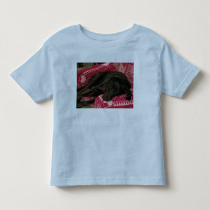 Les Tous Petits T-shirt Ringer pour chien endormi
