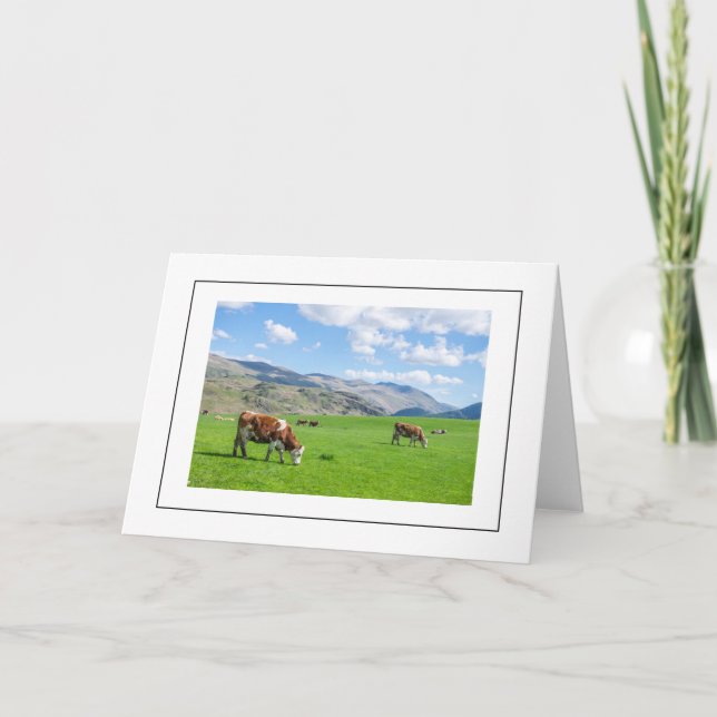 Les vaches du Lake District Carte de voeux (Devant)