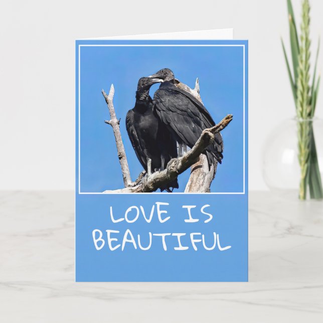 Les Vautours de Love Is Beautiful  Carte de vacanc (Devant)