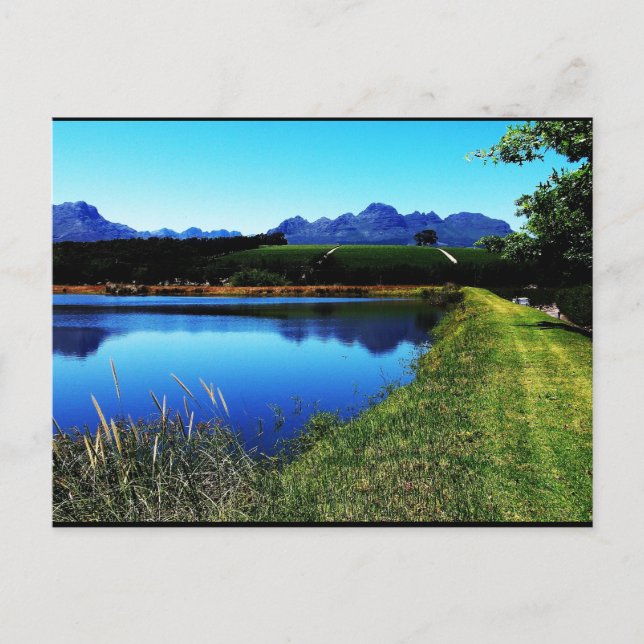 "Les vignobles de Stellenbosch" Carte postale JTG  (Devant)