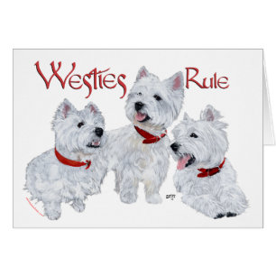 Les Westies règnent !