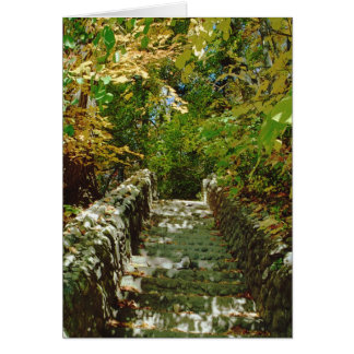 L'Escalier Vert