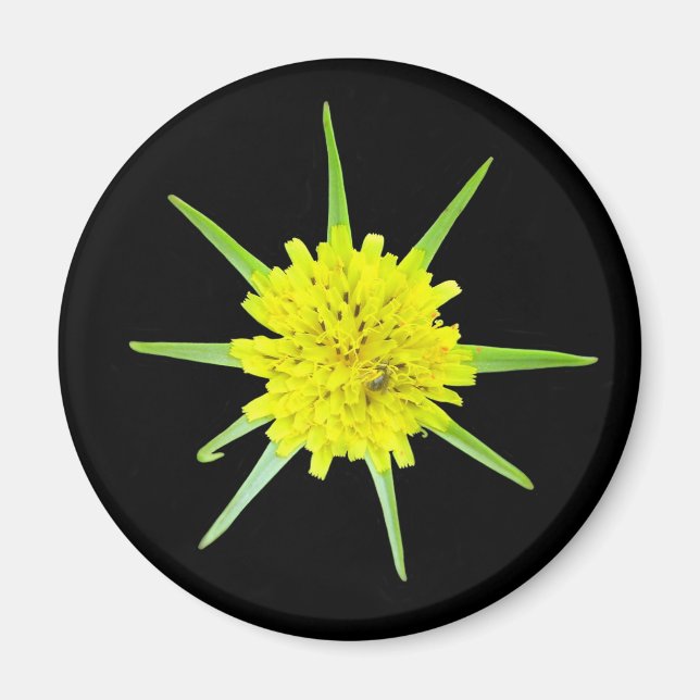 Lesser Goats-beard Wild Flower Magnet (Devant)