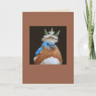 Lester la carte grincheuse et bosseuse du bleuet