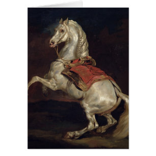 L'étalon du napoléon, Tamerlan