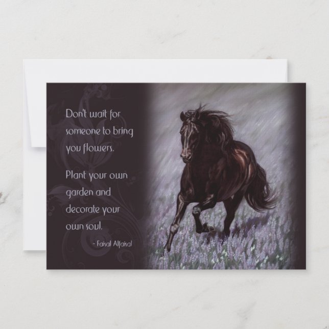 L'étalon noir dans un champ de rêves (Devant)