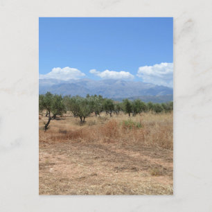 L'été en Crète carte postale