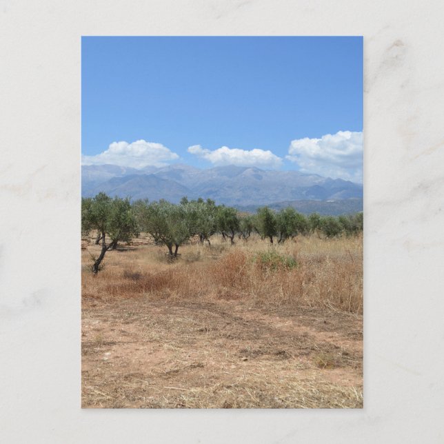 L'été en Crète carte postale (Devant)