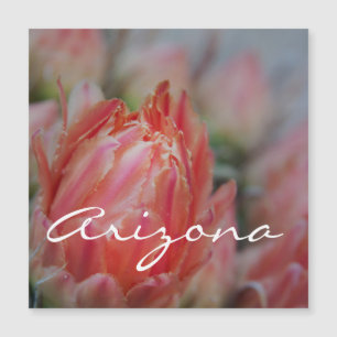 L'été fleurit en Arizona