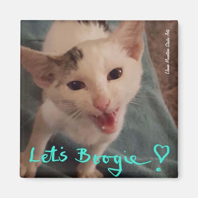 Let's Boogie! kitten magnet (Devant)