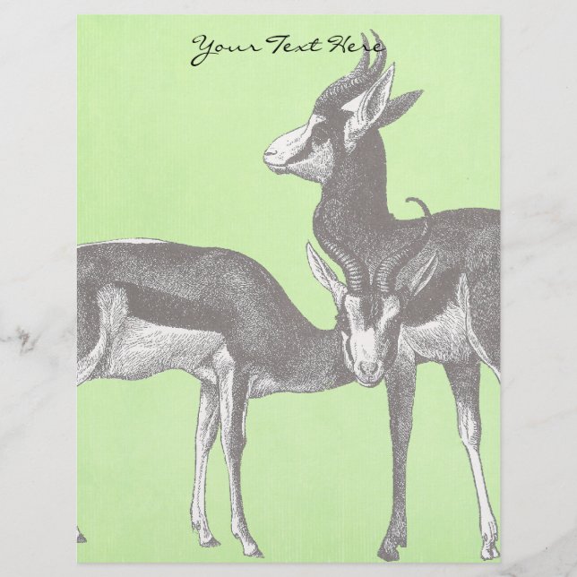 Letterhead Springbok (Devant)