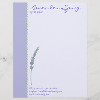 Lettre À En-tête En-tête de la lettre Sprig Lavender