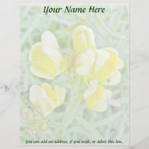 Lettre À En-tête En-tête Fleur sauvage de beurre 'n Oeufs