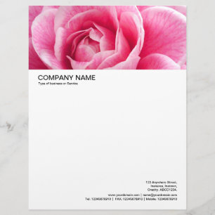 Lettre À En-tête En-tête grande image - Camelia rose