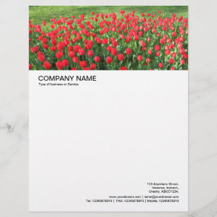 Lettre À En-tête En-tête grande image - Lit de Rouges Tulipes 01